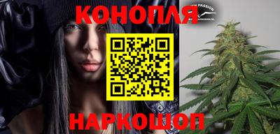 эйфоретик Гудермес