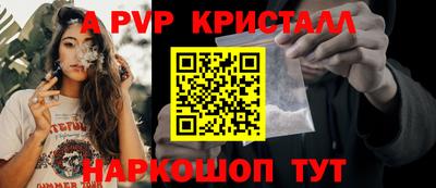 эйфоретик Гудермес