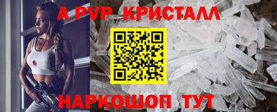 эйфоретик Гудермес