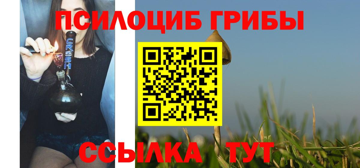 Псилоцибиновые грибы ЛСД  Вход с VPN  Гусь-Хрустальный  Галлюциногенные грибы Psilocybe 